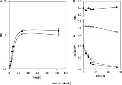 Inorganic Phosphate Solubilization by Rhizosphere Bacterium Paenibacillus sonchi: Gene Expression and Physiological Functions